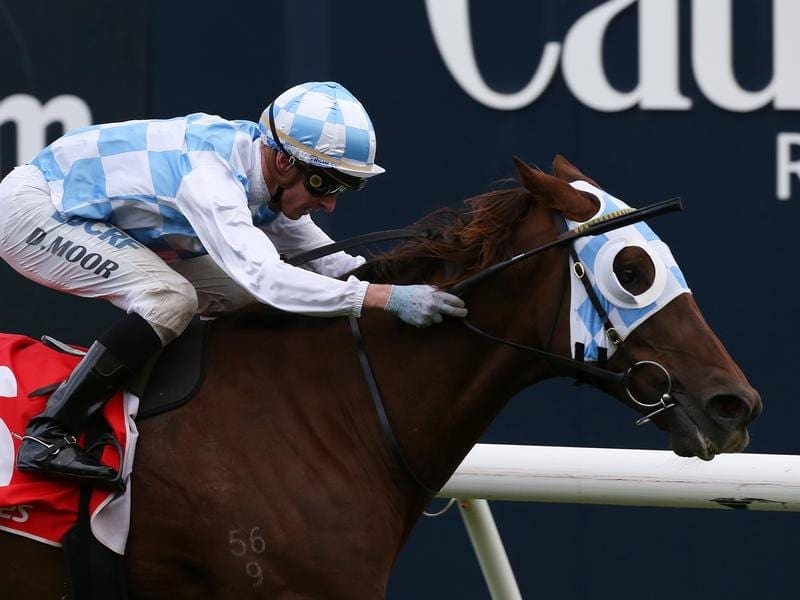 Magnapal runs at Caulfield with a view to progressing to the Warrnambool three-day carnival. magnapal