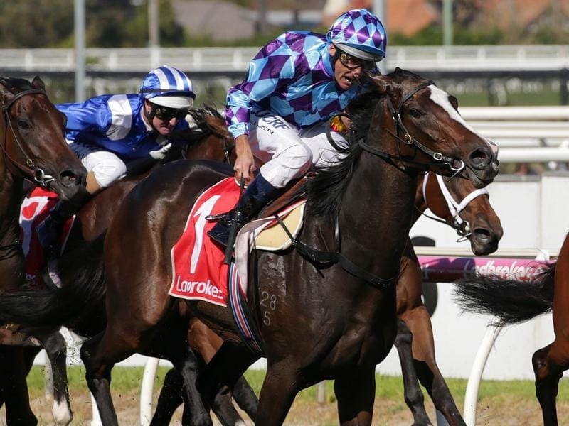 Carrying a bit weight couldn't stop Princess Jenni from taking out the Jack Elliott Handicap. Jockey Damien Oliver rides Princess Jenni to victory