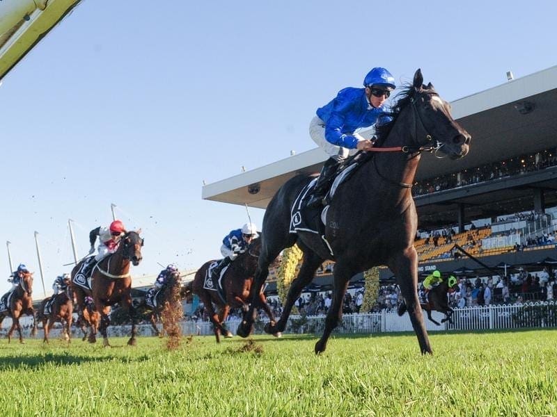Dual Group One weight-for-age winner Avilius will not take on Winx in the Queen Elizabeth Stakes. avilius
