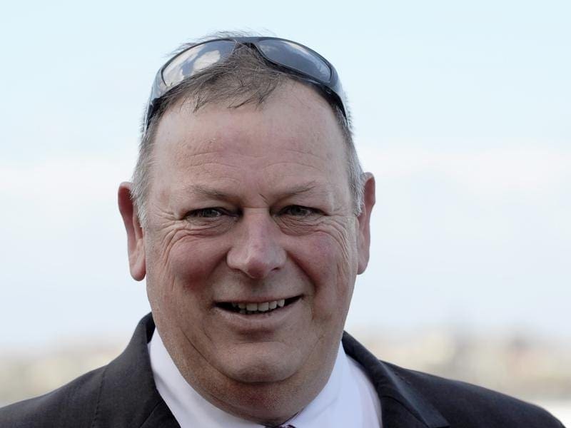 Trainer Mike Moroney hopes to have three runners in the $2 million Sydney Cup at Randwick. moroney