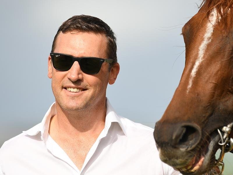 Trainer Tony Gollan is hoping Brisbane's wet weather disappears ahead of I'm A Rippa's return. tony gollan