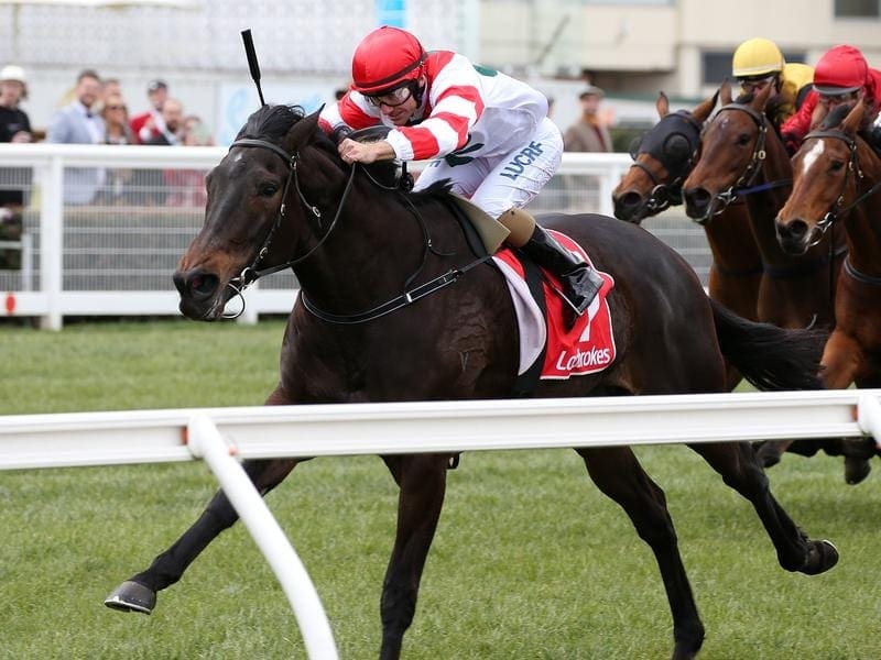 Miss Siska is in Sydney where her trainer Grahame Begg hopes she can gain a start in a G1 race. miss siska