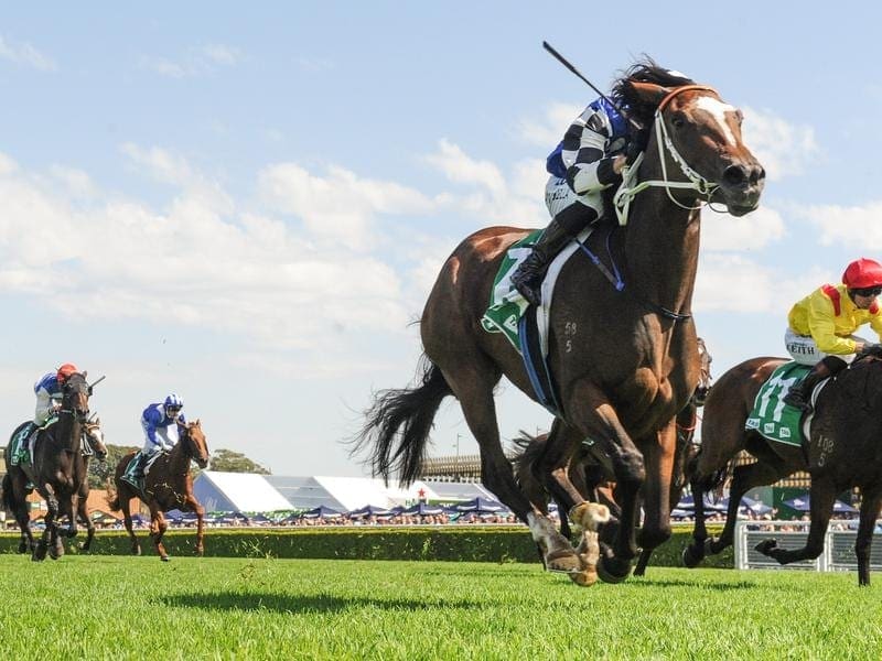 Aliferous has boosted trainer Kris Lees' ATC Australian team with her win in the Adrian Knox Stakes. Aliferous.