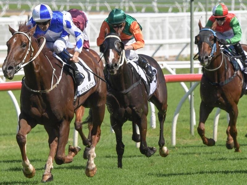 The Queanbeyan-trained Noble Boy has taken out the $500,000 Country Championship Final at Randwick. Noble Boy.