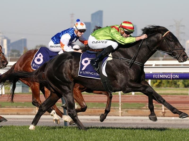 Begood Toya Mother is going for a fifth straight win at Caulfield ahead of a Group One spring bid. Begood Toya Mother.