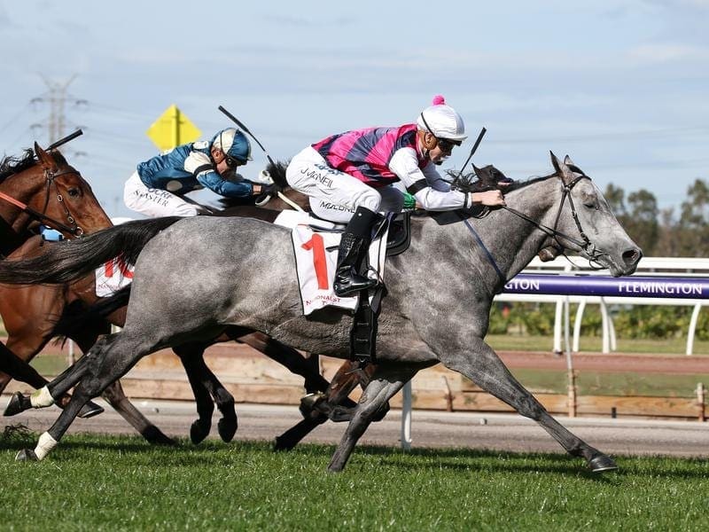 Fidelia will be set for Group One Empire Rose Stakes after making it four wins on end at Flemington. Fidelia.
