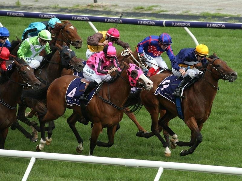 Smart Coupe (r) is one of two runners for Ellerton-Zahra Racing in a straight race at Flemington. smart coupe