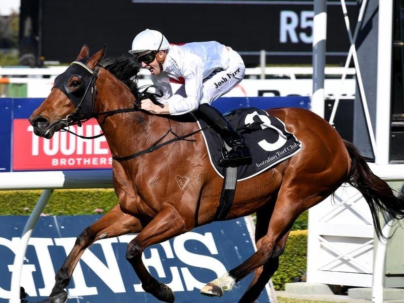 Group-winning sprinter Deploy is ready for his return at Scone after two pleasing barrier trials. deploy