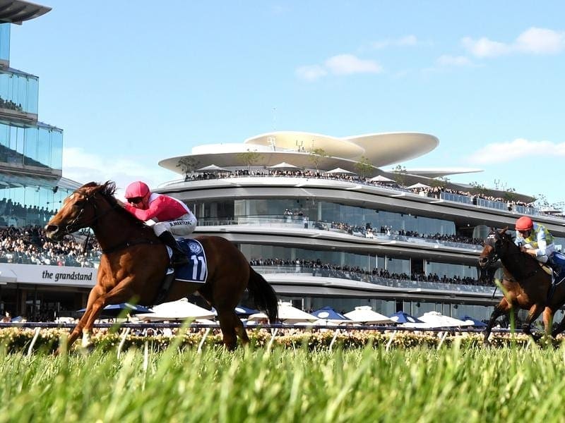 Divine Quality (l) will return to her comfort zone on the straight course at Flemington. divine quality