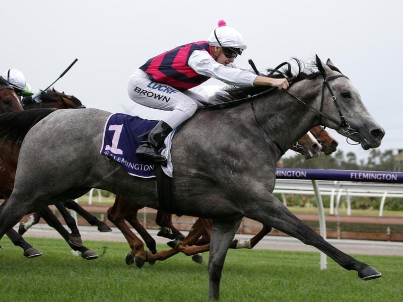 Trainer Robbie Griffiths will give three-year-old Fidelia her chance at 1600 metres at Flemington . fidelia