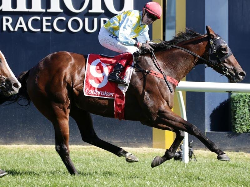 Oakleigh Plate winner Booker has been freshened ahead of the Group One Goodwood in Adelaide. booker
