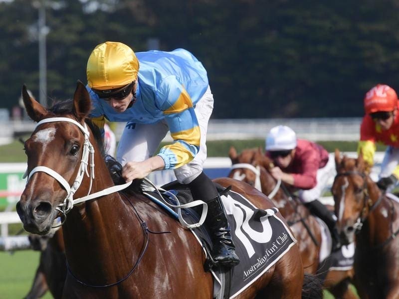 J J Atkins favourite Reloaded will follow the path taken by The Autumn Sun to the Group One race. reloaded