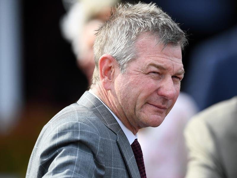 Trainer Kris Lees is likely to be represented by Sixties Groove in the Lord Mayor's Cup at Rosehill. kris lees
