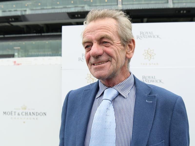 Trainer Gerald Ryan hopes King' Champ can acquit himself well in a strong 2yo race at Rosehill. gerald ryan