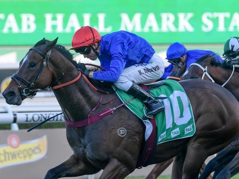 Trekking is one of three Group One Kingsford Smith Cup runners for Godolphin trainer James Cummings. Trekking.