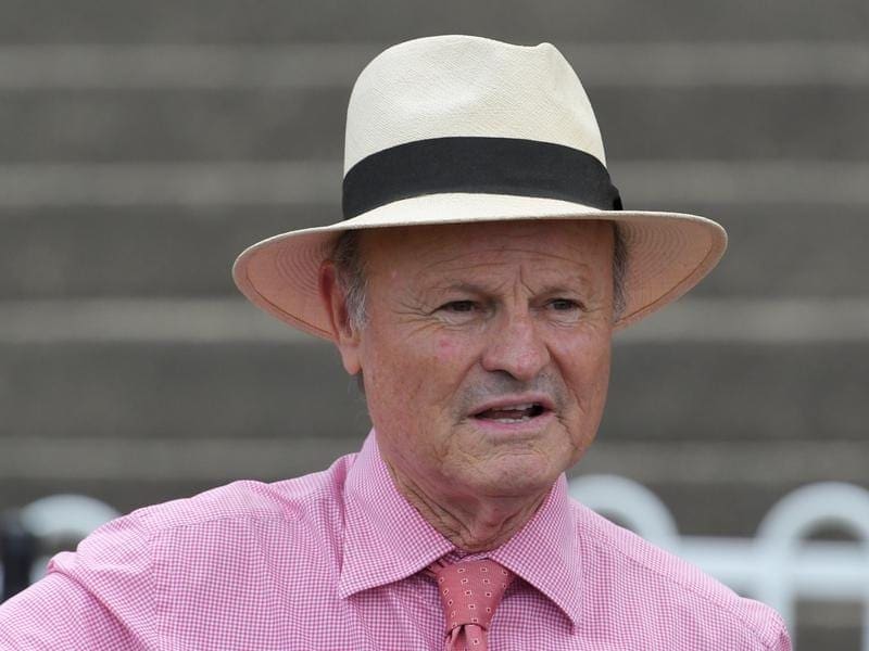 David Payne hopes Dream Circle can step up at Randwick after a trying few weeks for the trainer. david payne