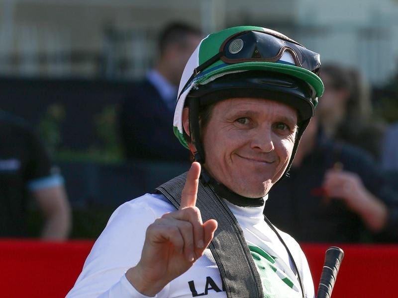 Brian Park again rides Not Enough Effort at Sandown as he tries to maintain his perfect record. not enough effort