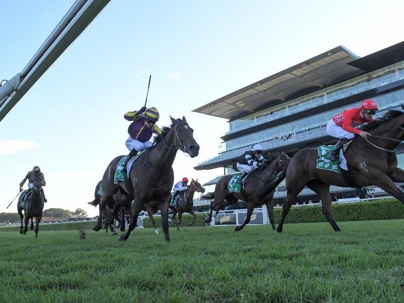 Bare Naked Lady (left) will be one of two runners for trainer Tracey Bartley in the Scone Guineas. tracey bartley
