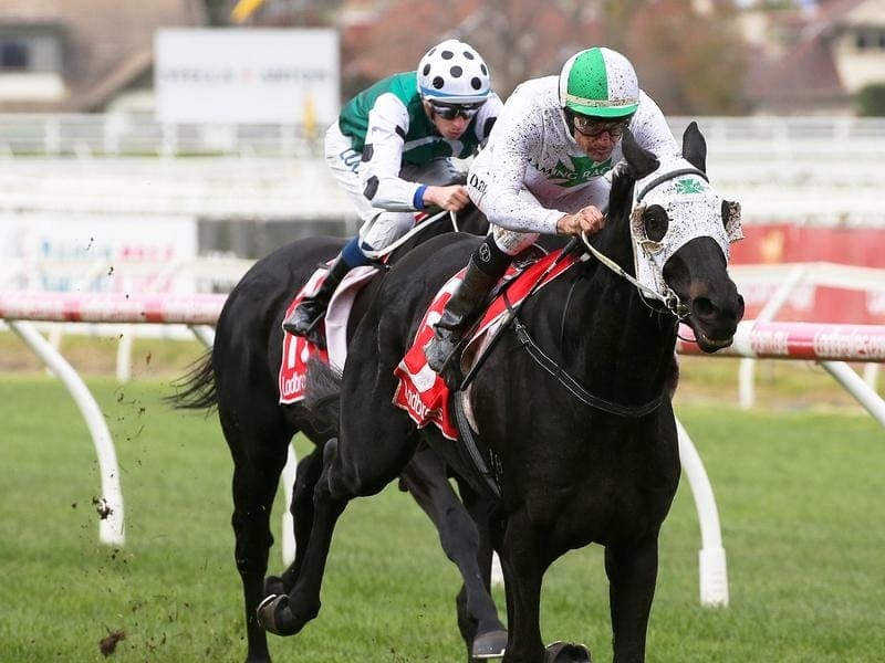 Dogamtic wins at Caulfield.