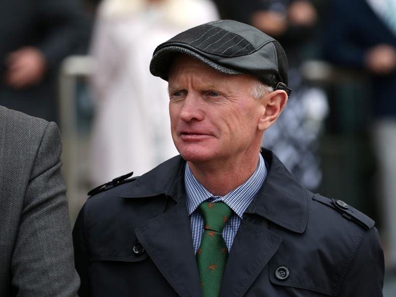 Trainer Phillip Stokes has high hopes Sizzlefly can remain unbeaten as he looks to the spring. sizzlefly