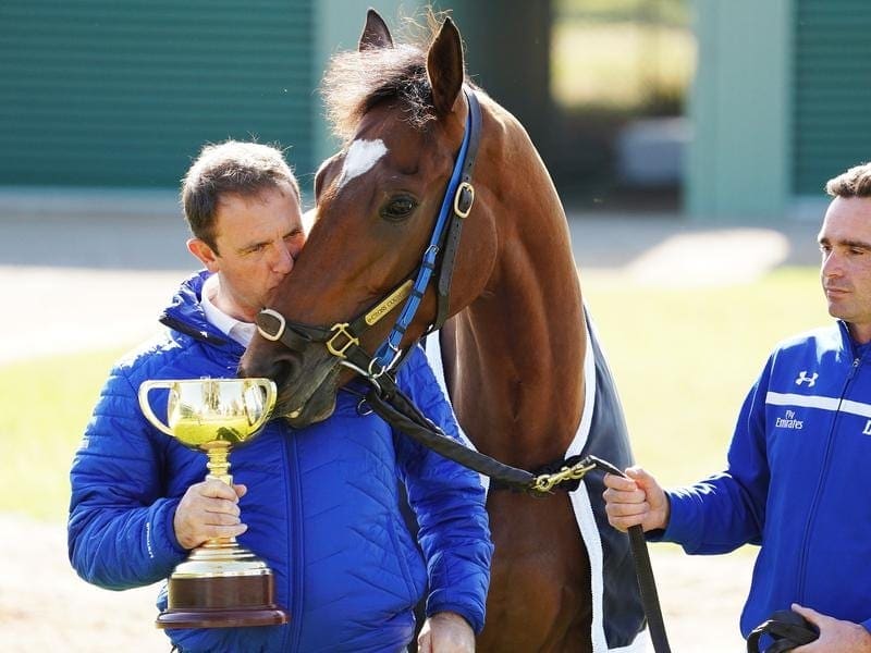 Prize money for the Melbourne Cup, won by Cross Counter last year, will increase to $8 million. melbourne cup