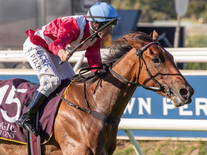 Arcadia Queen will run for The Star in the $14 million Everest with six slots left for the race. arcadia queen