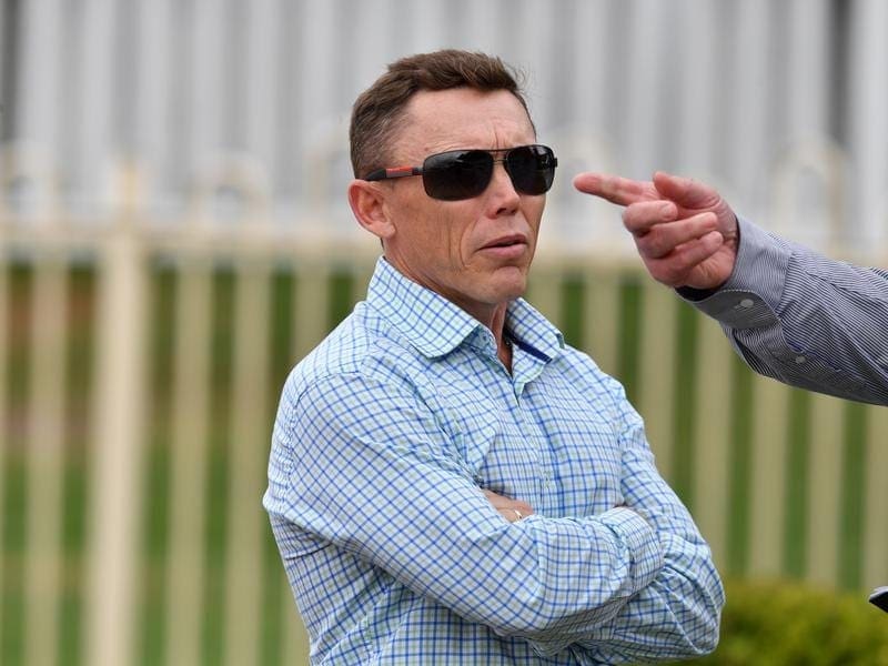 Trainer Chris Munce will set Ipswich winner Smartypy for the Ramornie Handicap at Grafton. chris munce