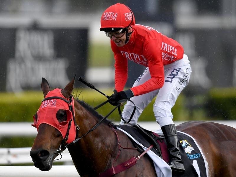 Redzel will be aimed at a third Everest win when he again races for Yulong Investments. redzel