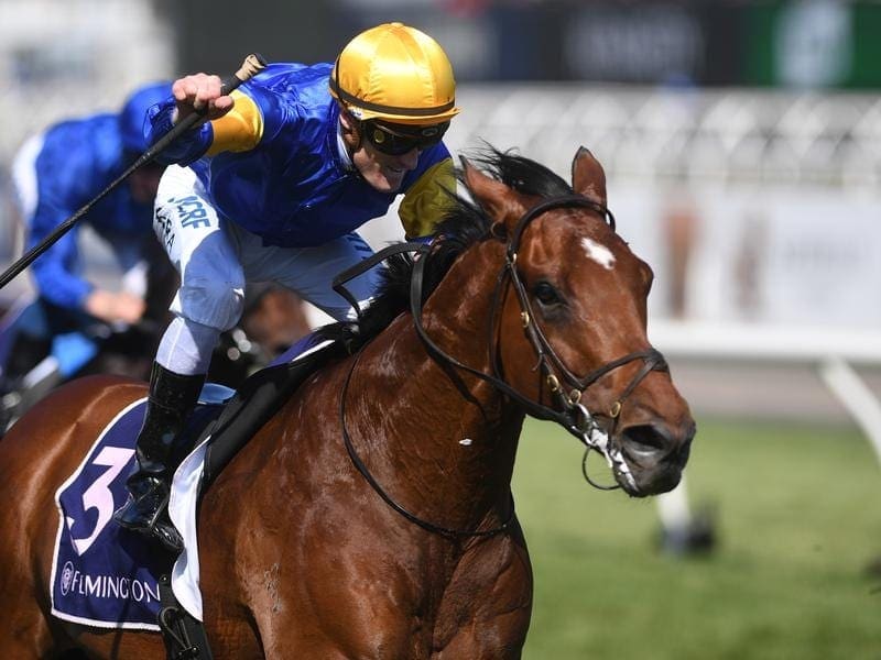 Multiple G1 winner Santa Ana Lane is ready to begin the countdown to the $14 million Everest. santa ana lane