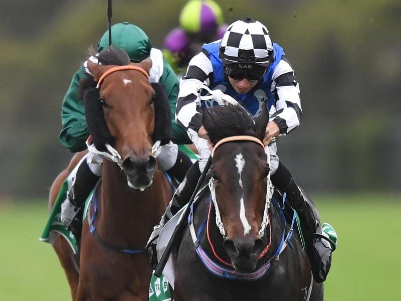 Princess Posh is ready to tackle the G1 Tatt's Tiara after being scratched from the Stradbroke. princess posh