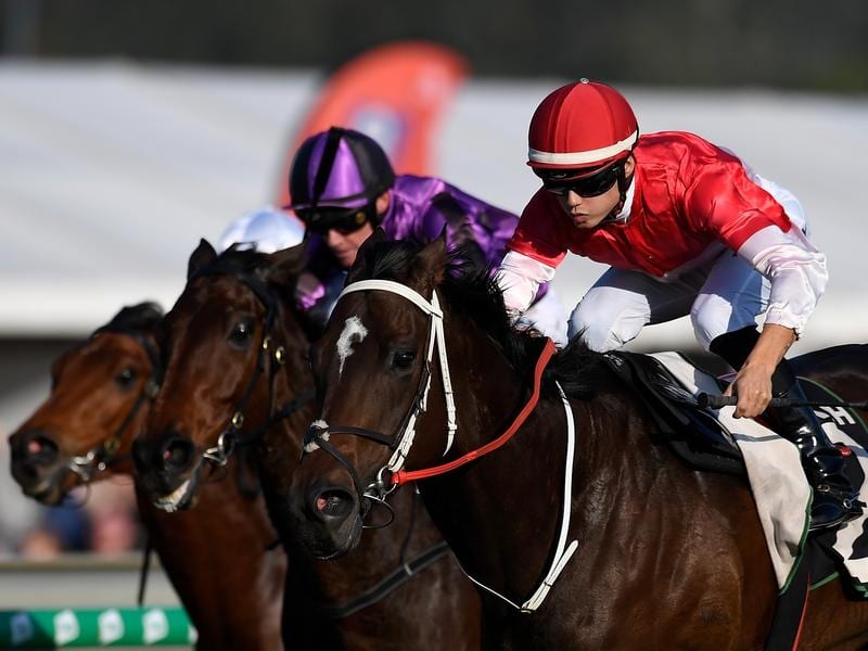 Jockey Michael Murphy rides Bergerac to victory