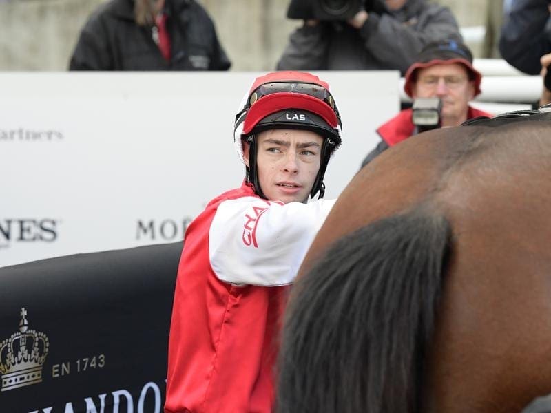 Apprentice Robbie Dolan is powering his way towards 50 metropolitan winners for the season. robbie dolan