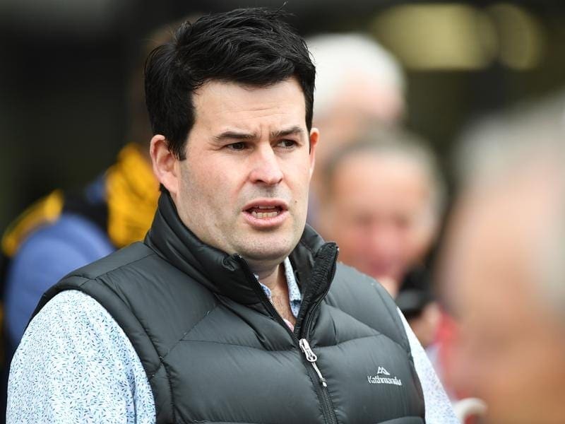 Trainer Henry Dwyer has welcomed two-year-old sprinter Rumble Doll's win at Sandown. rumble doll