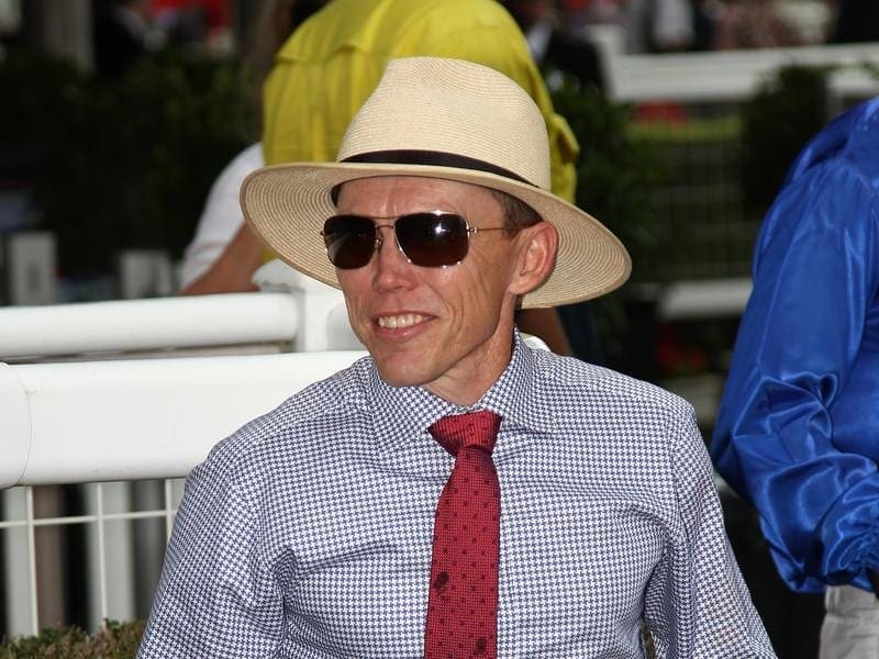Trainer Chris Munce believes Sunshine Coast Guineas contender Starkers is a future top-liner. starkers