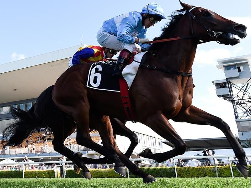 Trainer Toby Edmonds is hoping Whypeeo can score a morale-boosting win at Doomben on Saturday. Whypeeo