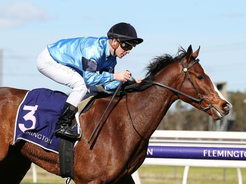 Lord Belvedere wins at Flemington.