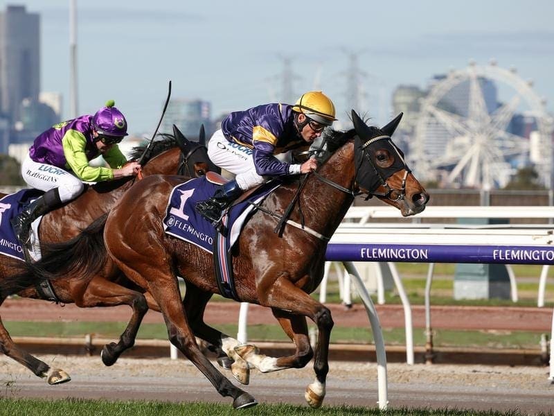 Trainer Mike Moroney will aim Buffalo River at the $7.5 million Golden Eagle in Sydney. buffalo river