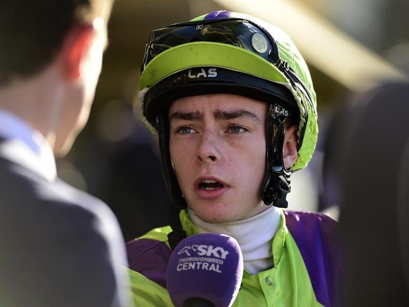 Robbie Dolan has the Sydney apprentices title wrapped up but suspension may cost him reaching 50. robbie dolan