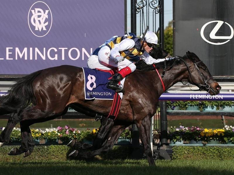 Trainer Matt Cumani hopes there is more feature staying success for Flemington winner Future Score. future score