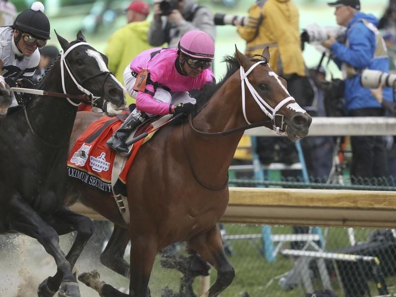 Maximum Security heads Haskell field Betting Site