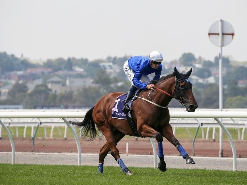 Class mare Alizee is among the big names to step out in barrier trials at Randwick. alizee