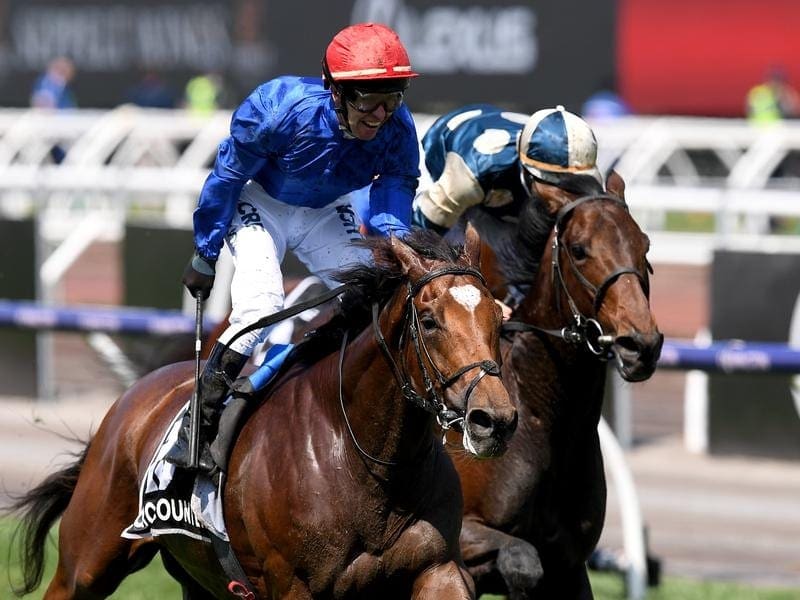 Melbourne Cup runner-up Marmelo (r) has been unplaced in the Group One Grand Prix de Saint-Cloud. marmelo
