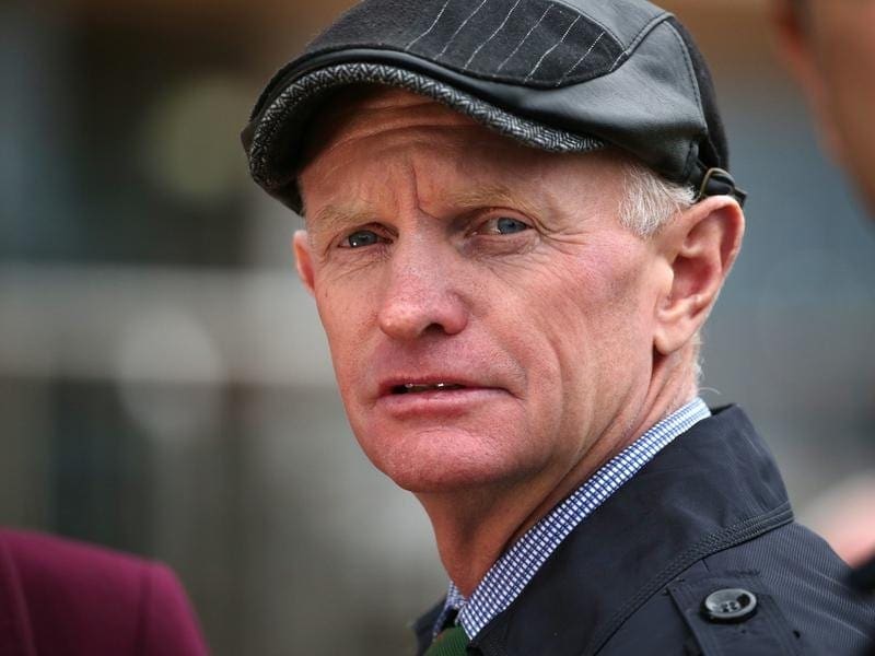 Phillip Stokes is in two minds about spelling Sonsam after the two-year-old's win at Sandown. Phillip Stokes.