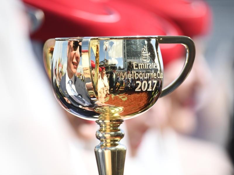 Melbourne Cup winning rider to move to Qld | Betting Site
