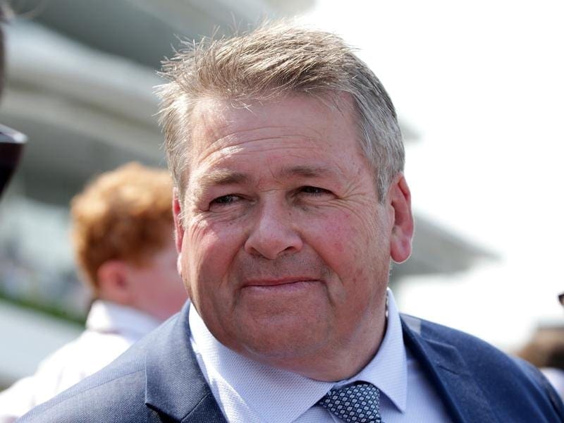 Trainer Pat Carey believes former WA veteran Material Man can be competitive in the G1 Memsie. pat carey
