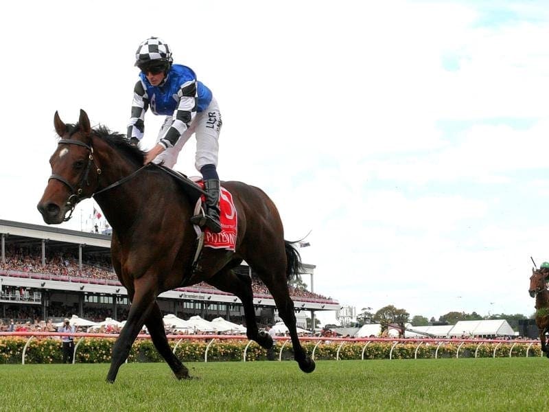 Aust Bloodstock hopes Ebor winner Mustajeer can emulate Protectionist (above) in the Melbourne Cup. melb cup winner protectionist