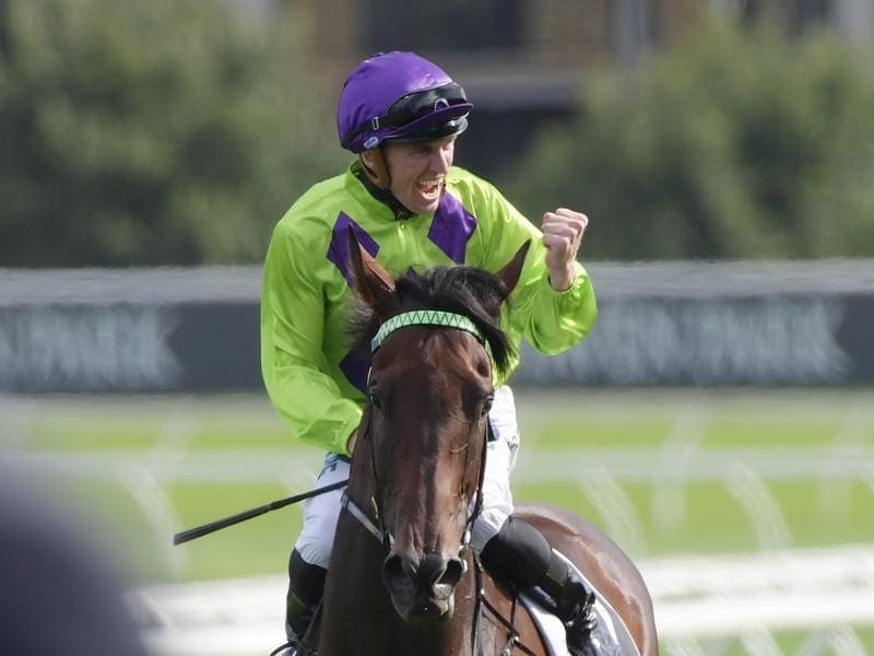 Group One Surround Stakes winner Nakeeta Jane has suffered a career-threatening leg injury. nakeeta jane