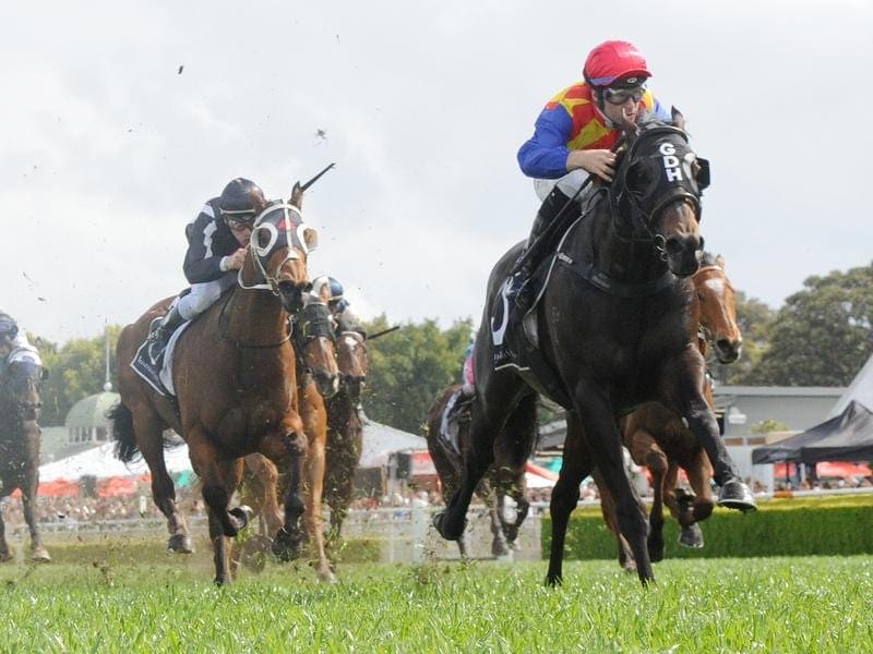All Aged Stakes winner Pierata has run a comfortable second in a Warwick Farm barrier trial. pierata