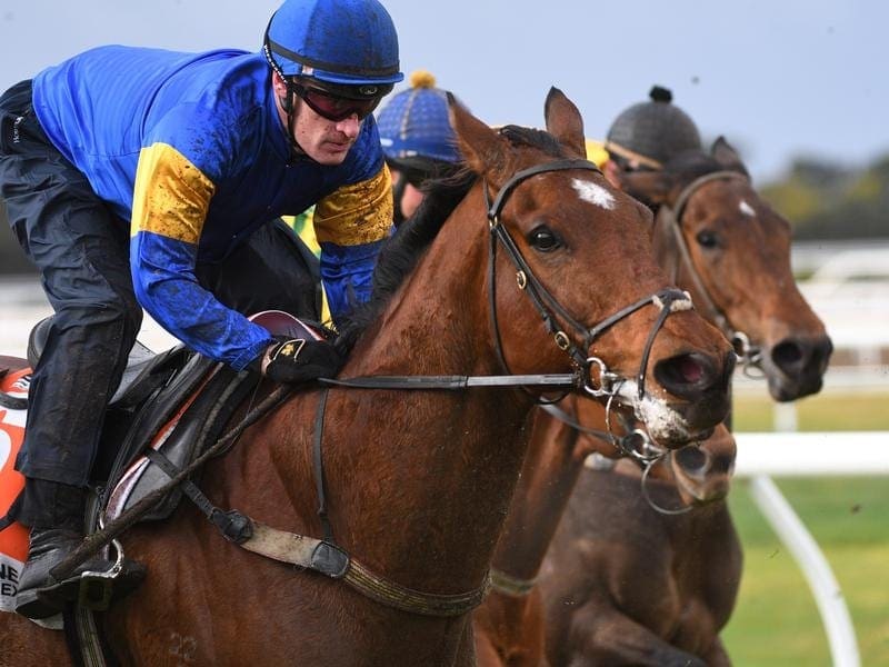 Santa Ana Lane, favourite for the $14m Everest, has finished a pleasing fourth in a barrier trial. santa ana lane