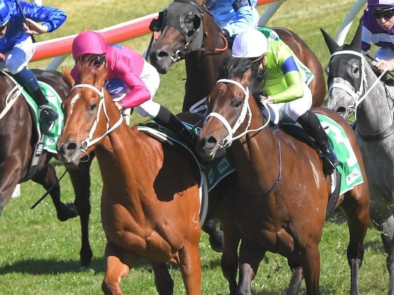 True Dectective (right) has won the Up And Coming Stakes at Randwick on protest from Superium. Up And Coming Stakes finish.